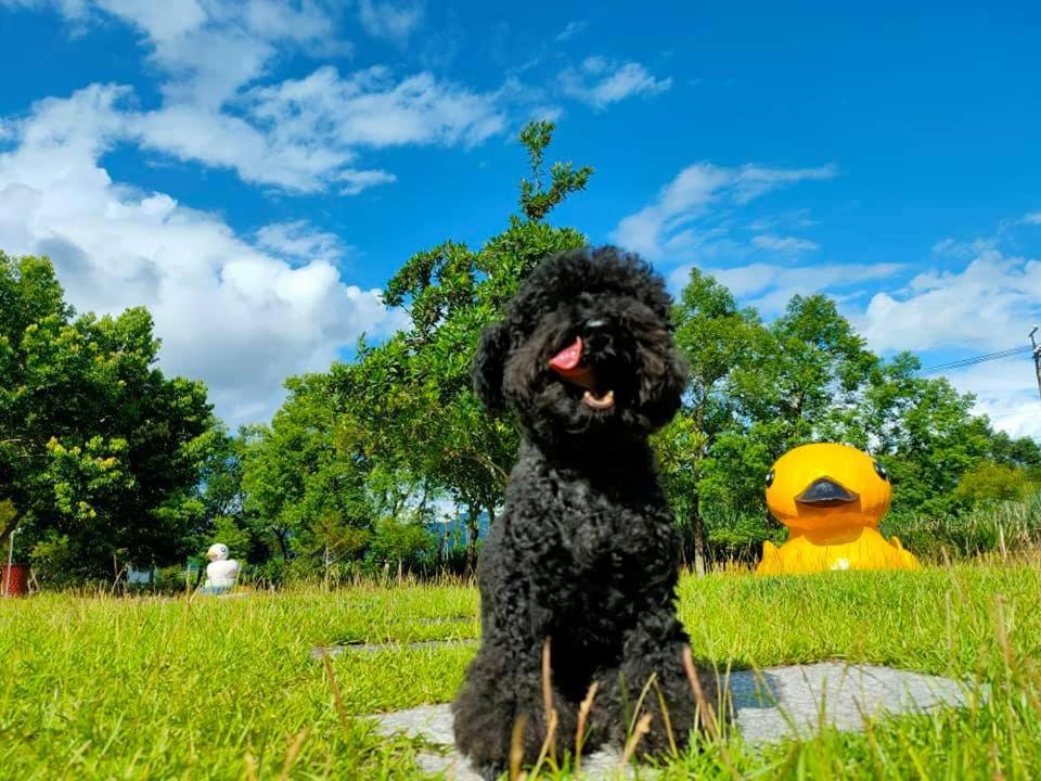 瑞穂郷 依比鴨鴨水岸會館 Ducking House Bed & Breakfast エクステリア 写真