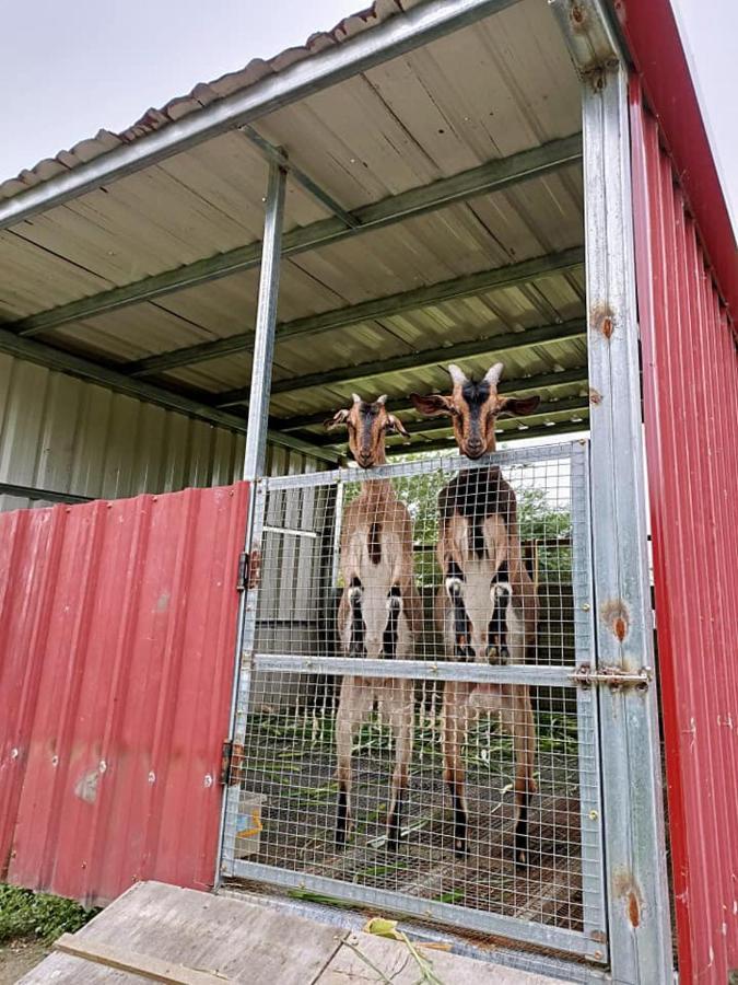 瑞穂郷 依比鴨鴨水岸會館 Ducking House Bed & Breakfast エクステリア 写真