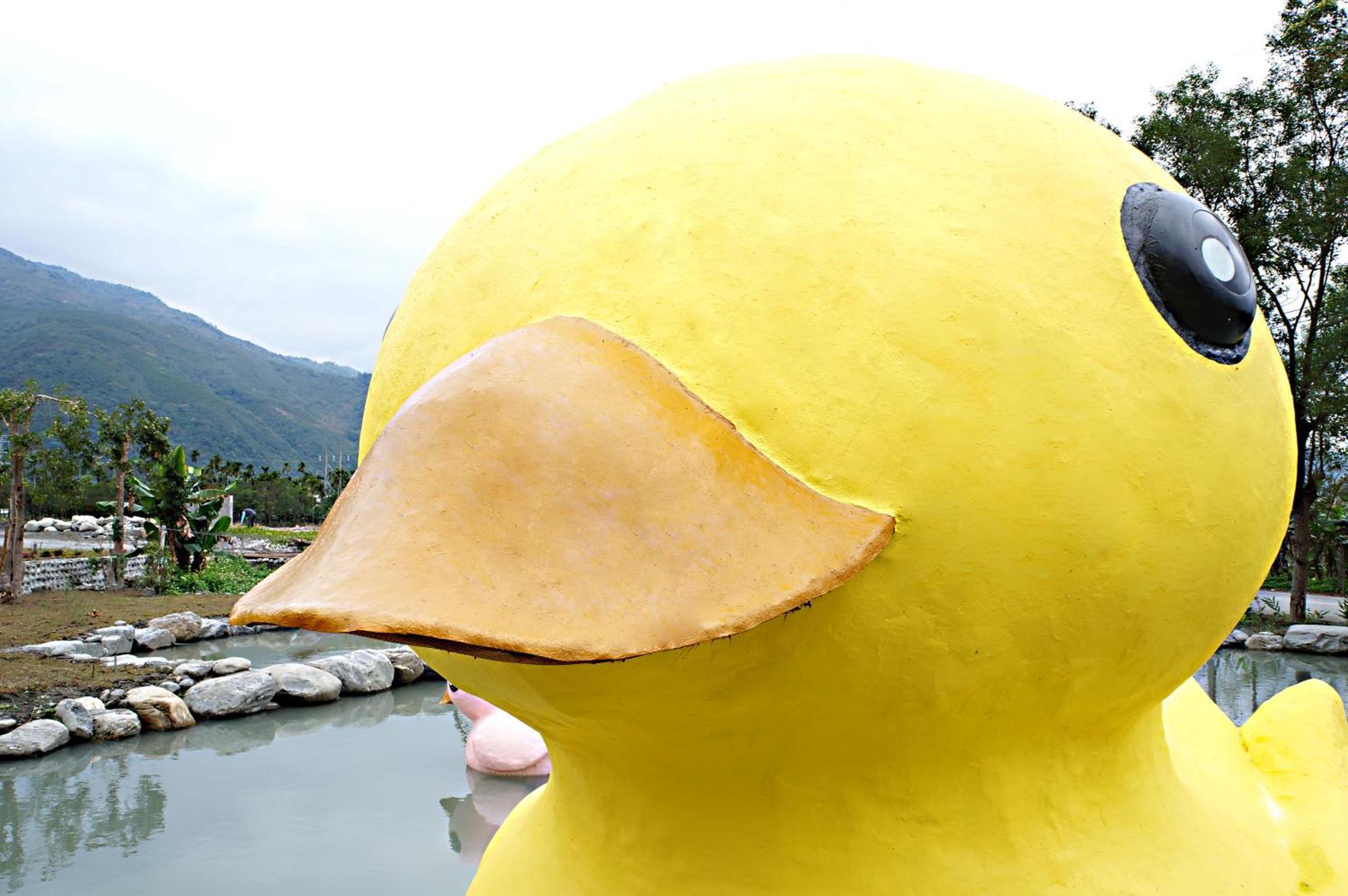 瑞穂郷 依比鴨鴨水岸會館 Ducking House Bed & Breakfast エクステリア 写真